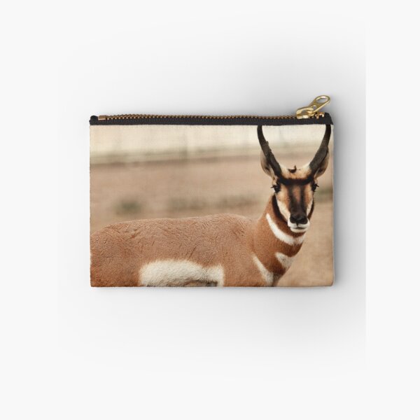 Item preview, Pronghorn Antelope designed and sold by Ryan Houston.