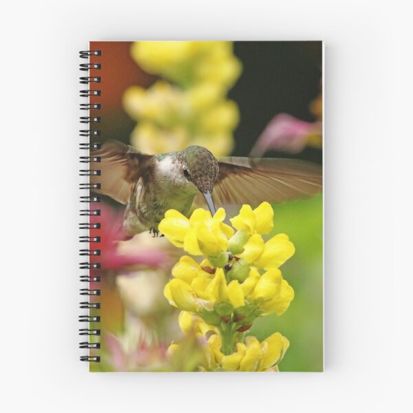 Item preview, Ruby Throated Hummingbird In Summer Garden designed and sold by Debbie Oppermann.