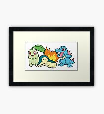 Johto Starters Framed Print