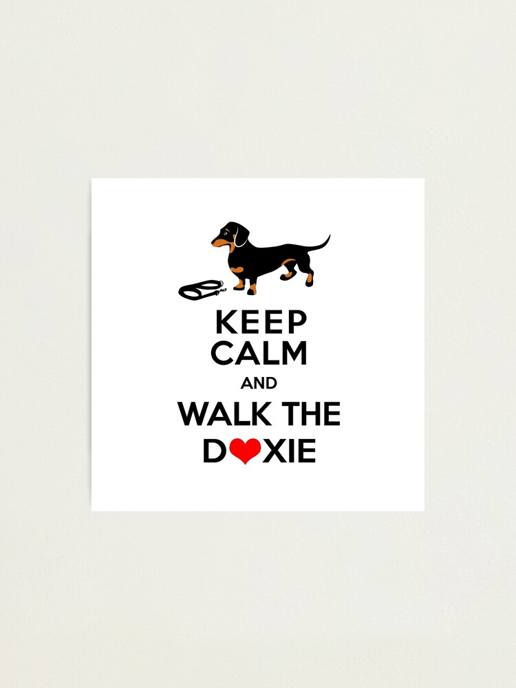 how to calm a dachshund