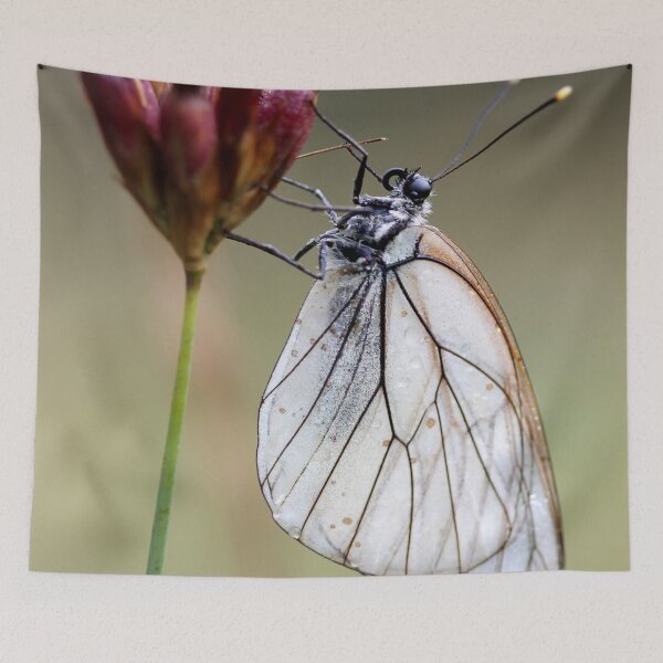 Item preview, Black-veined white  designed and sold by cuprum.