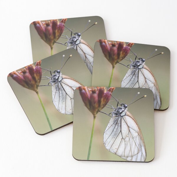 Item preview, Black-veined white  designed and sold by cuprum.