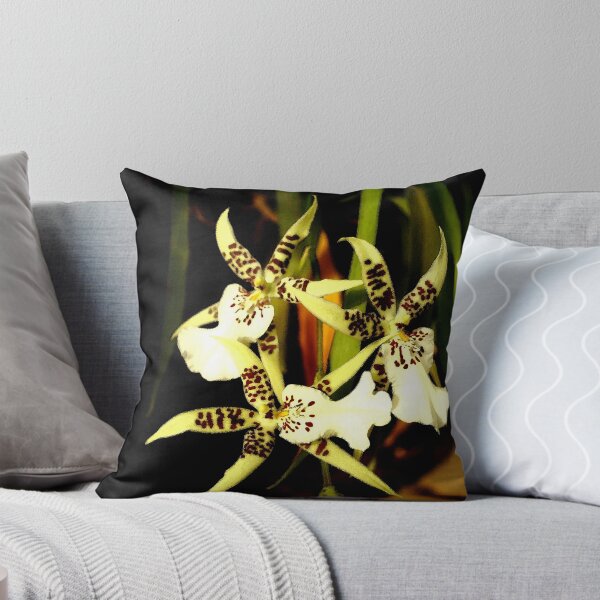 Artikelvorschau, White orchids 8 entworfen und verkauft von Janis Lee Colon.