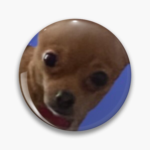Item preview, Cute Chihuahua on Blue Background designed and sold by Hvll1116.