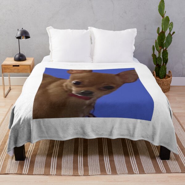Item preview, Cute Chihuahua on Blue Background designed and sold by Hvll1116.