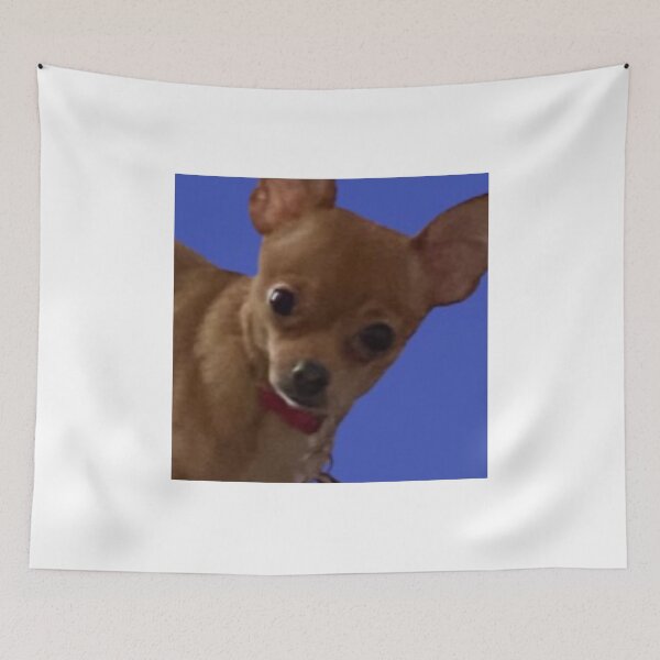 Item preview, Cute Chihuahua on Blue Background designed and sold by Hvll1116.