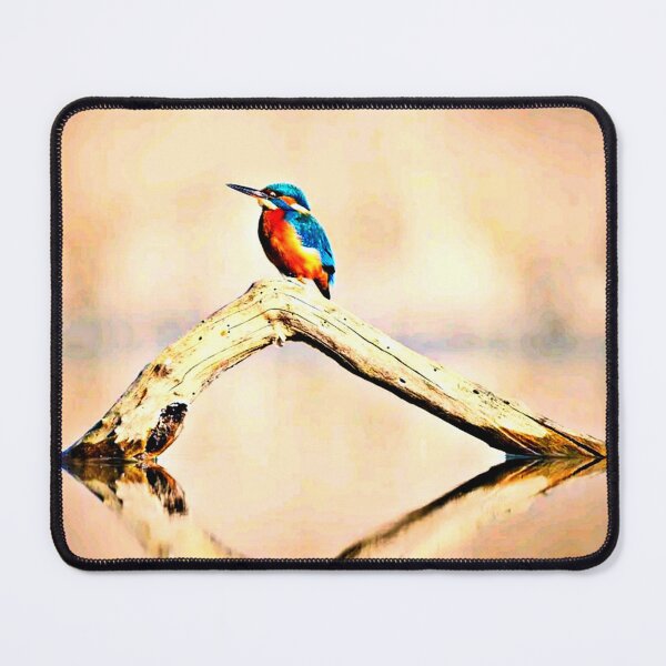 Item preview, Kingfisher Reflection | Kingfisher | River Kingfisher designed and sold by Khan-Baba.