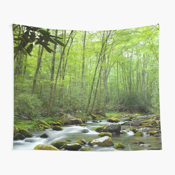 Spring Forest Stream Tapestry