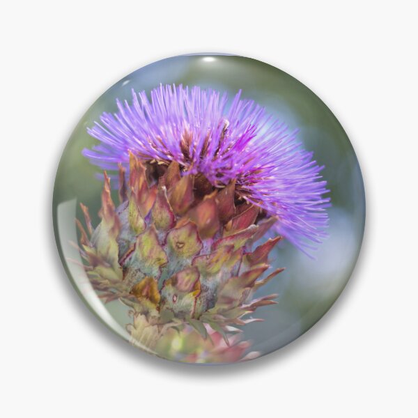 Item preview, Globe Artichoke Flower designed and sold by Alisonchambers2.
