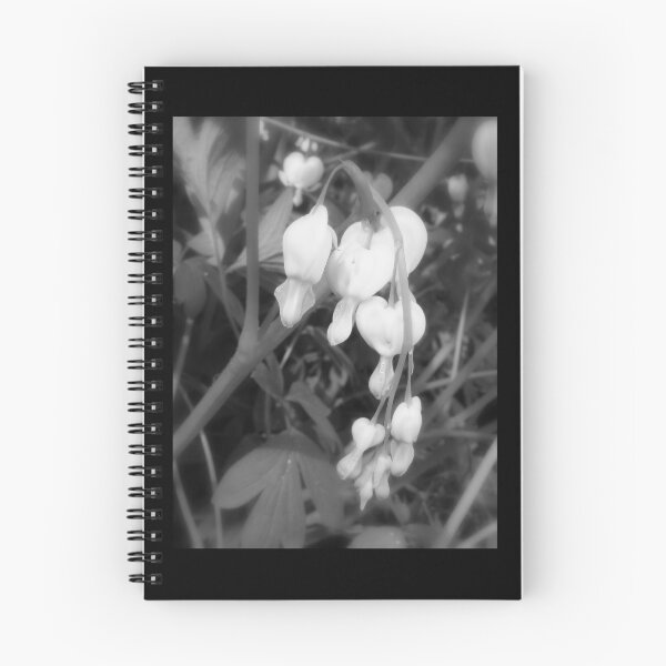 Item preview, white bleeding hearts, black and white designed and sold by Dawna Morton.