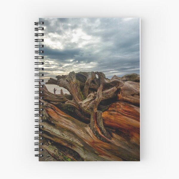 Item preview, Mendocino Coast designed and sold by Richard Mason.