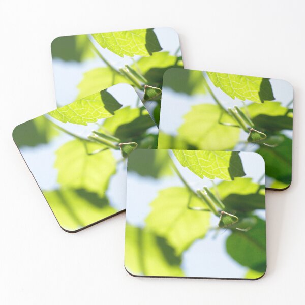 Item preview, Praing mantis in summer garden designed and sold by olena2552.