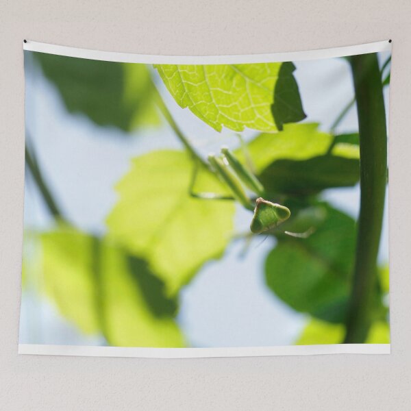 Item preview, Praing mantis in summer garden designed and sold by olena2552.