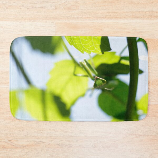 Item preview, Praing mantis in summer garden designed and sold by olena2552.