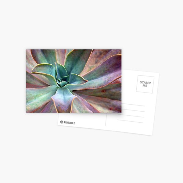 Organic Beauty Postcard