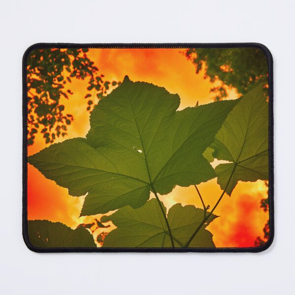 Item preview, Still greens designed and sold by Jouko Lehto Photography.