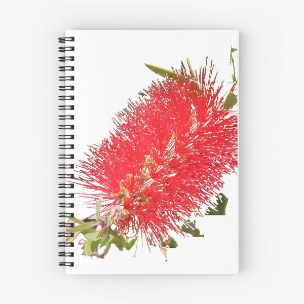 Item preview, Bottlebrush designed and sold by STHogan.