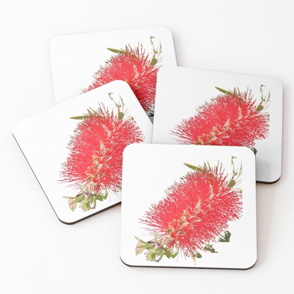 Item preview, Bottlebrush designed and sold by STHogan.