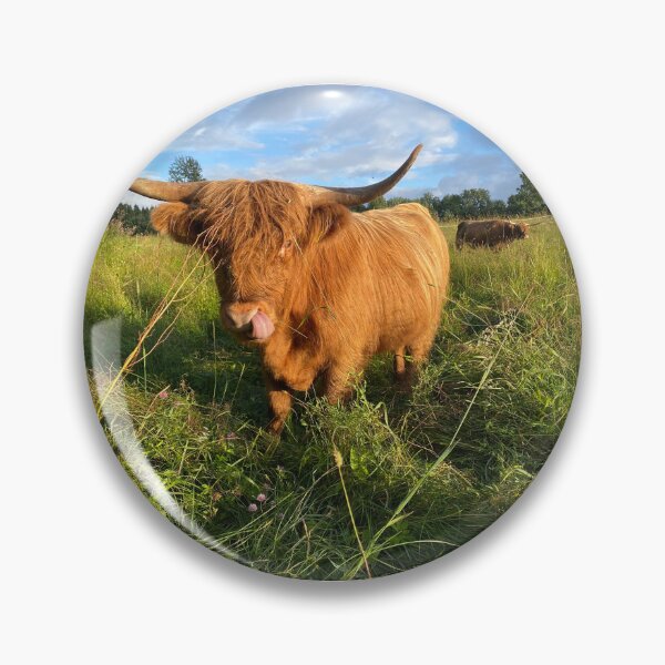 Item preview, Scottish Highland Cattle Cow showing tongue 4018 designed and sold by SaarelaHighland.