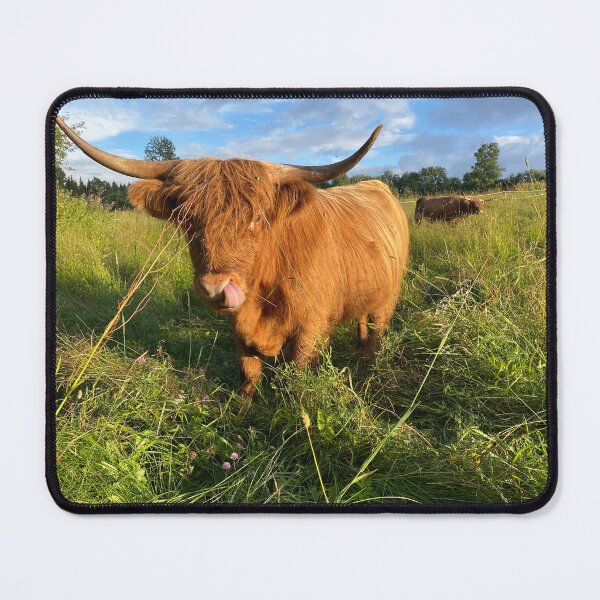 Item preview, Scottish Highland Cattle Cow showing tongue 4018 designed and sold by SaarelaHighland.