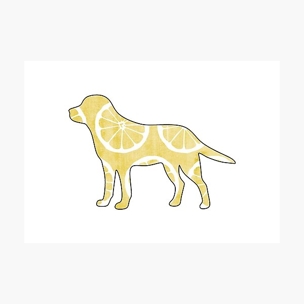 Item preview, Lemon Dog designed and sold by jadebolger8.