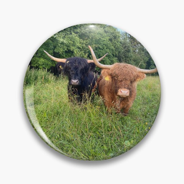 Artikelvorschau, Scottish Highland Cattle Cows 4020 entworfen und verkauft von SaarelaHighland.