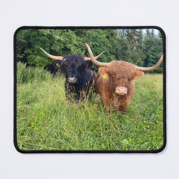 Item preview, Scottish Highland Cattle Cows 4020 designed and sold by SaarelaHighland.