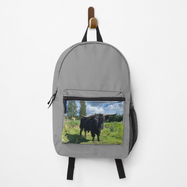 Artikelvorschau, Scottish Highland Cattle Bull 4021 entworfen und verkauft von SaarelaHighland.