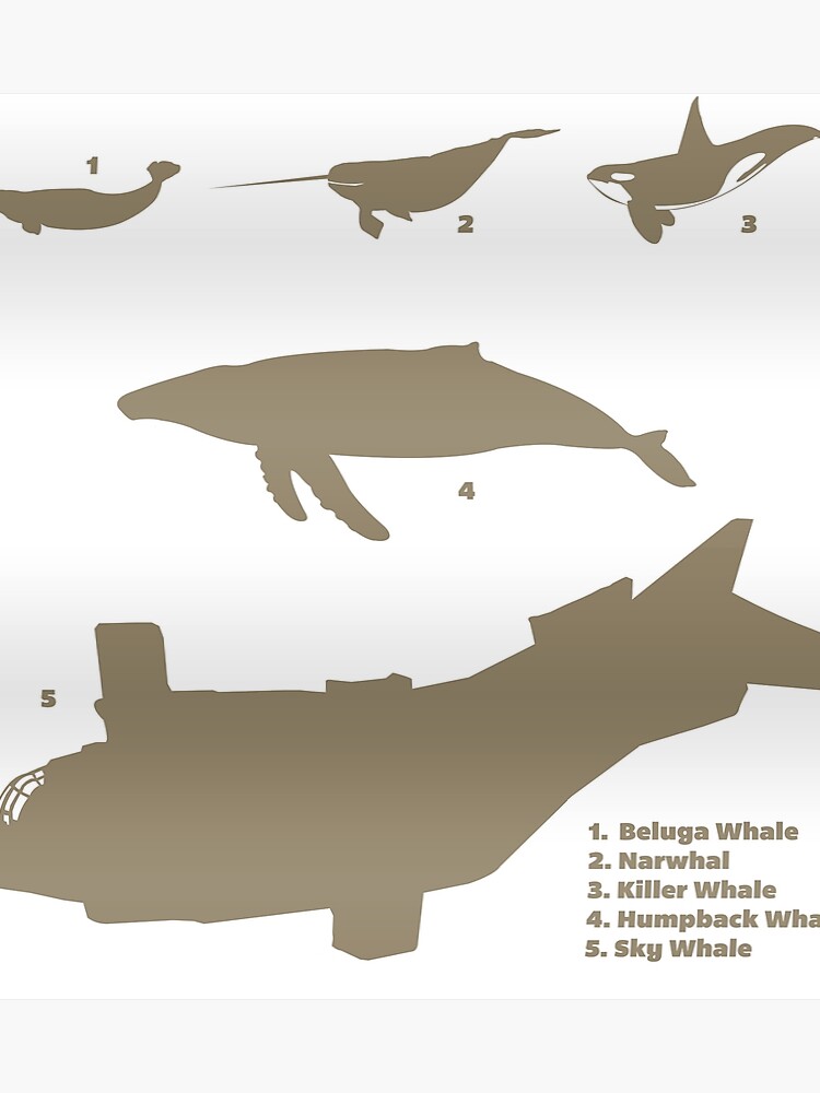 Whale Comparison Chart