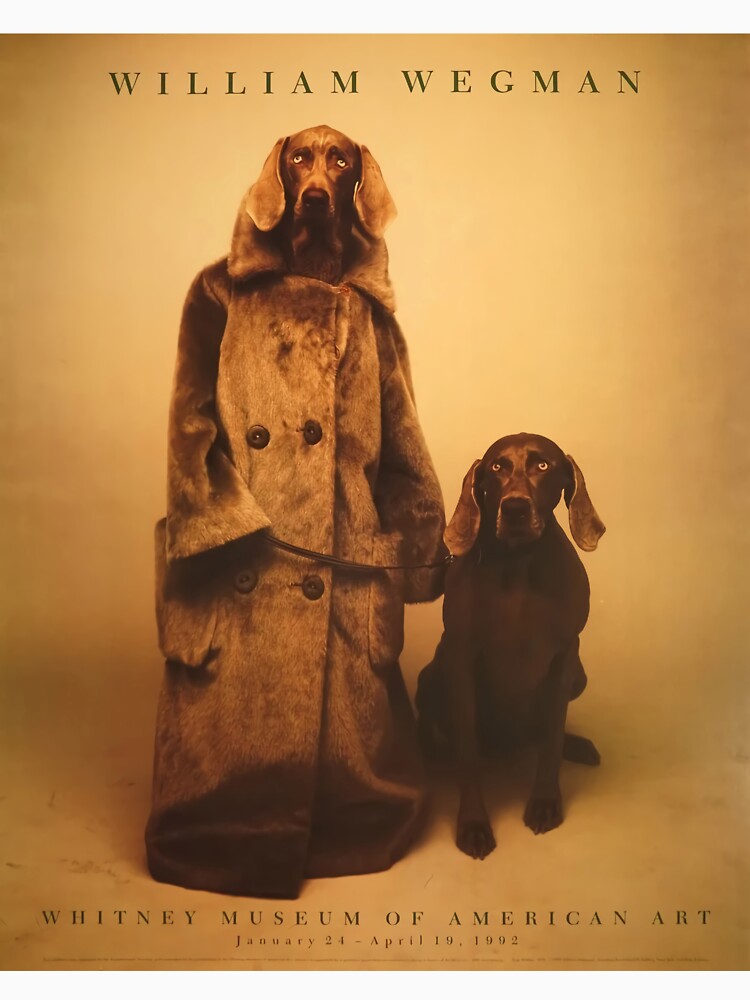 William Wegman exhibition