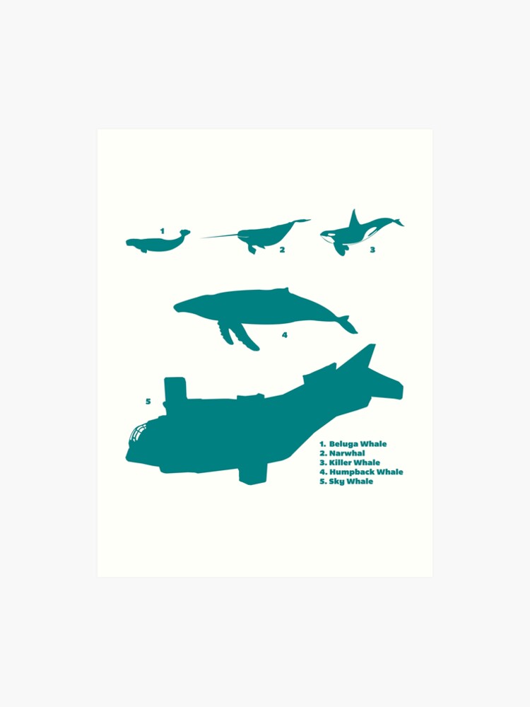 Whale Comparison Chart