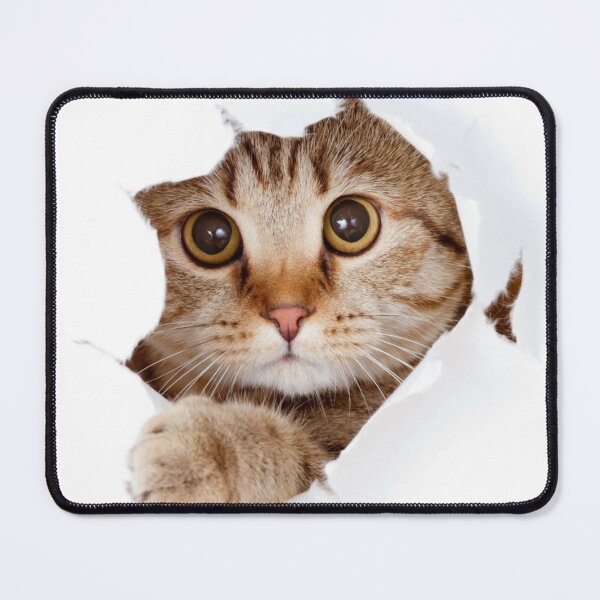 Item preview, Surprising cat designed and sold by Aysa Galaxy.