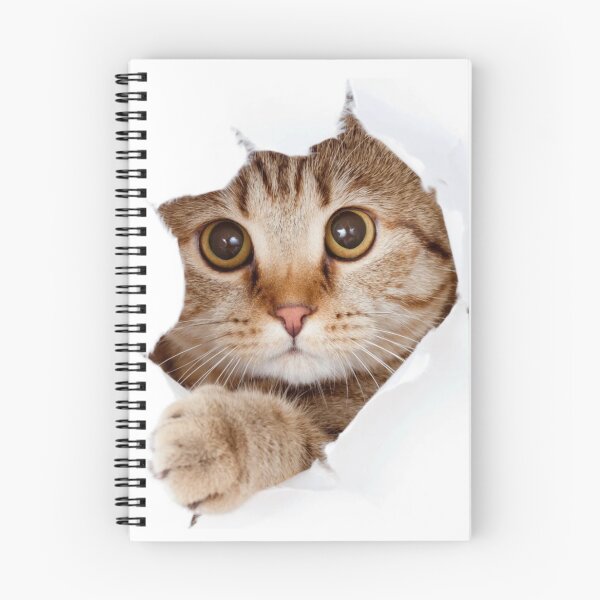 Item preview, Surprising cat designed and sold by Aysa Galaxy.