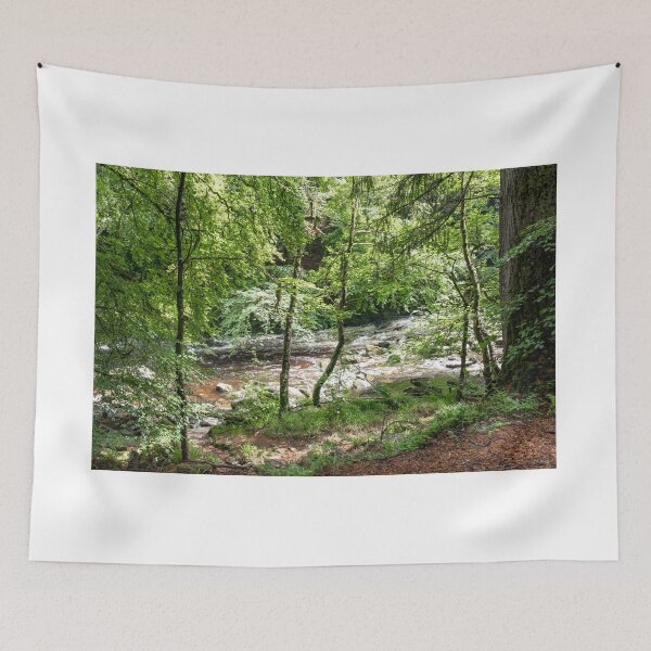 Item preview, Dunkeld Hermitage and the River Braan, Scotland designed and sold by yackers1.