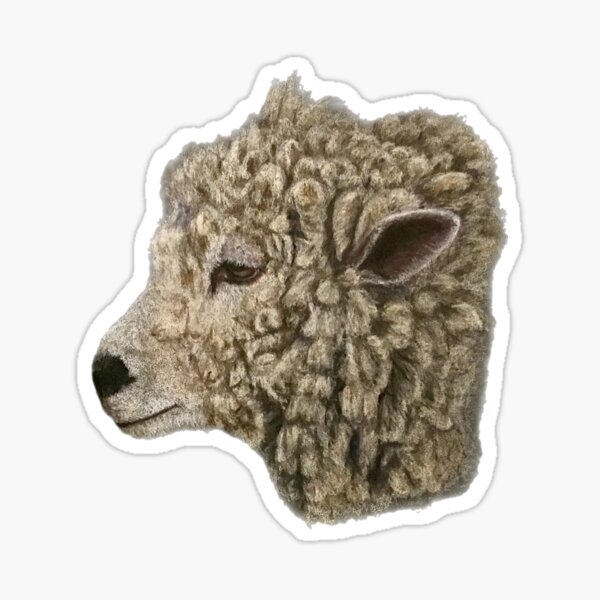 Big woolly sheep | sheep lover Sticker