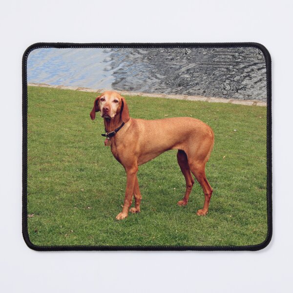 Item preview, Dog In The Park designed and sold by XCEEDTRANSITION.