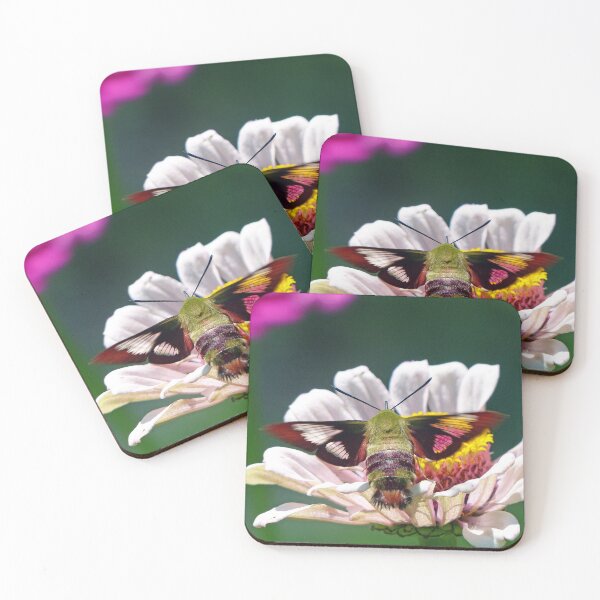 Item preview, Hummingbird Moth designed and sold by Frankie Cat Photography.