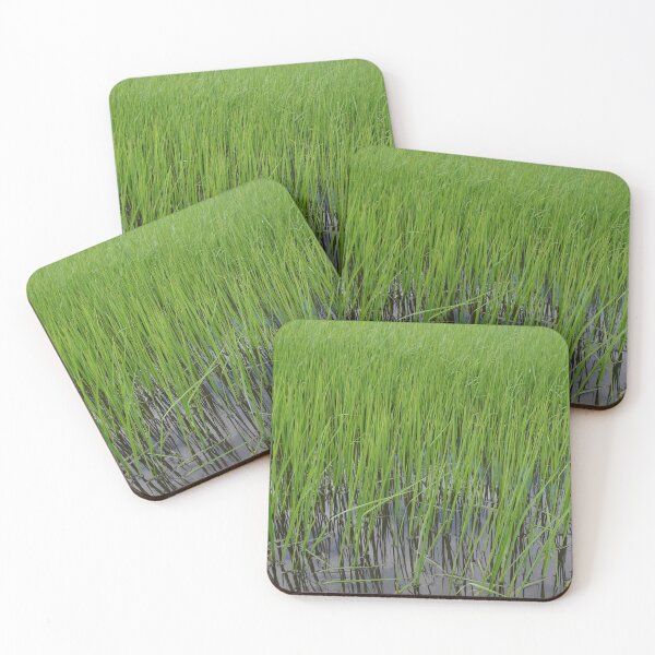 Item preview, rice fields in Thailand designed and sold by March Rider.