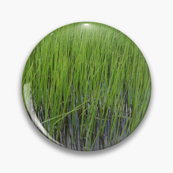 Item preview, rice fields in Thailand designed and sold by March Rider.