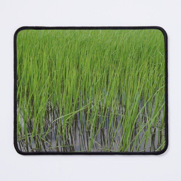Item preview, rice fields in Thailand designed and sold by March Rider.
