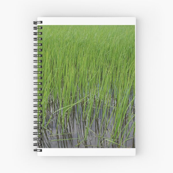 Item preview, rice fields in Thailand designed and sold by March Rider.