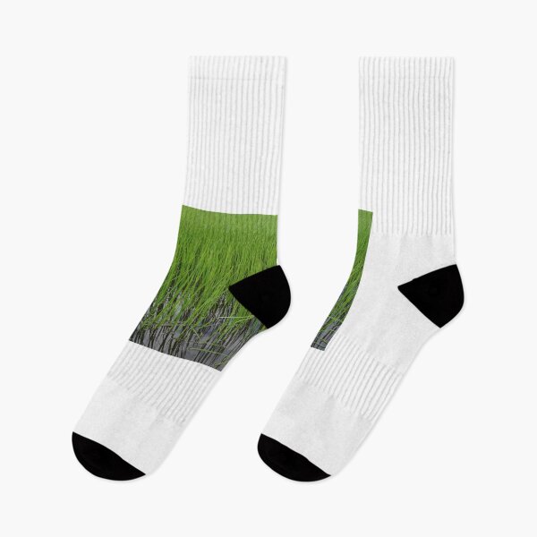 Item preview, rice fields in Thailand designed and sold by March Rider.