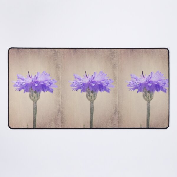 Item preview, Had Almost Given Up designed and sold by Denise Abé.