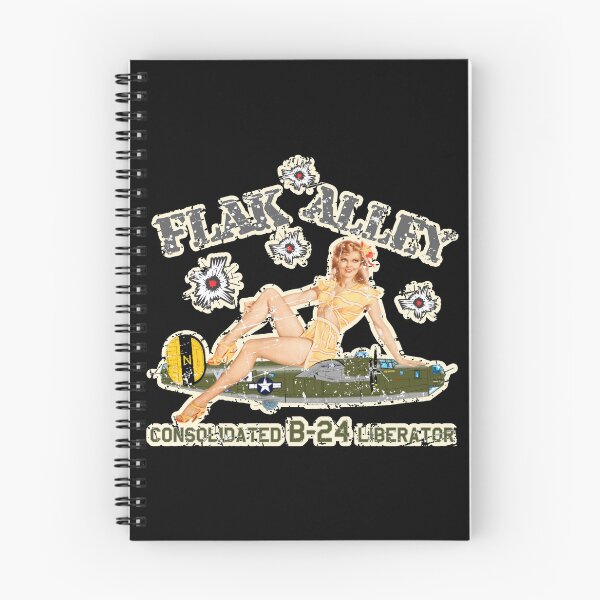 Item preview, Consolidated B-24 Liberator - Noise Art Phrases - Flak Alley - Grunge Style designed and sold by pzd501.