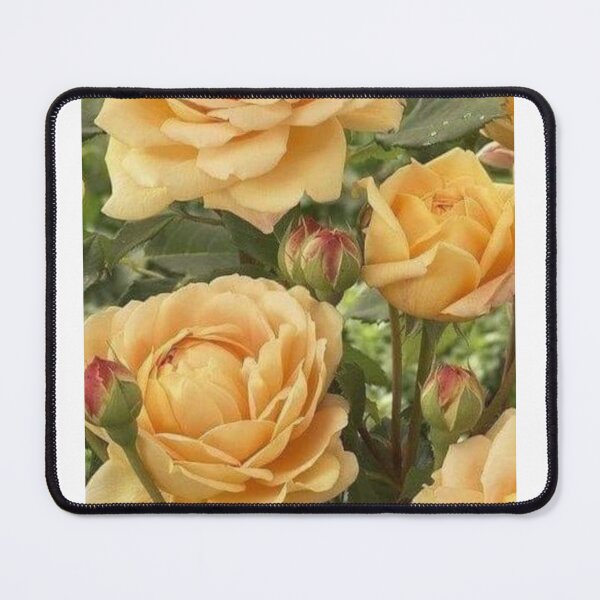Item preview, Golden color Rose designed and sold by Saiamrita123.