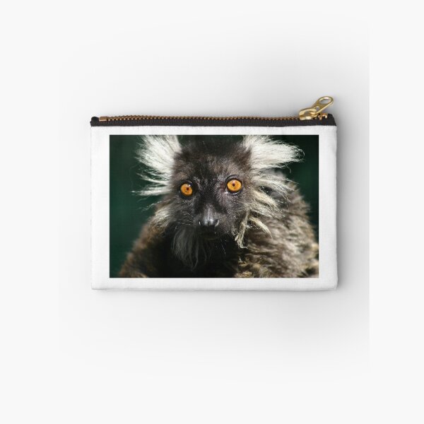 Item preview, Lemur Einstein designed and sold by PsychoAlien.com.