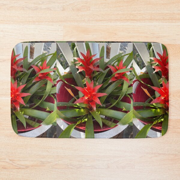 Item preview, Really Red and Superb Succulent Flower designed and sold by KazM.