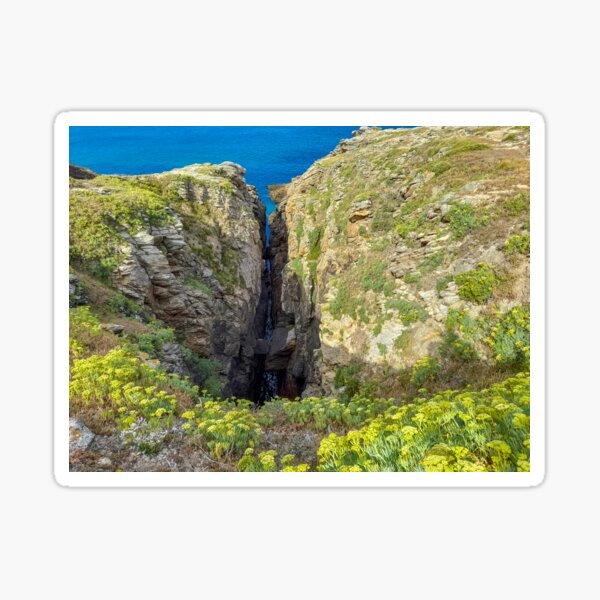 Aperçu de l'œuvre Falaises de la Côte Sauvage, France créée et vendue par OskiOnTour.