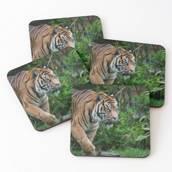 Item preview, Prowling Sumatrian Tiger designed and sold by PaulMac900.