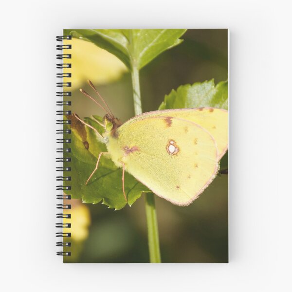 Item preview, Lemon Emigrant butterfly in nature designed and sold by EG Creativity Art.
